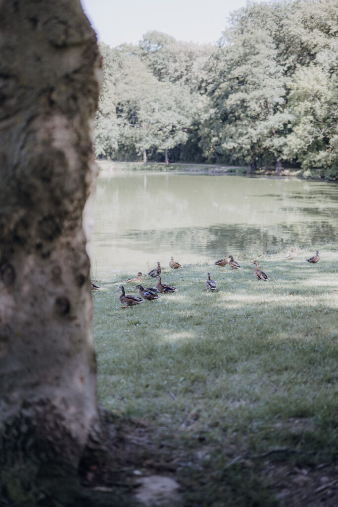 Schloss Brandis Hochzeit Schlosshochzeit Märchenhochzeit Hochzeitsfotos Hochzeitsreportage Hochzeitsfotograf Hochzeitsfotografin Heiraten Leipzig Sachsen Dresden Gohliser Schlösschen Standesamt Standesamtliche Trauung Neues Rathaus Hochzeitsauto Happy Day Brautmode EmiLy Hochzeitsdeko