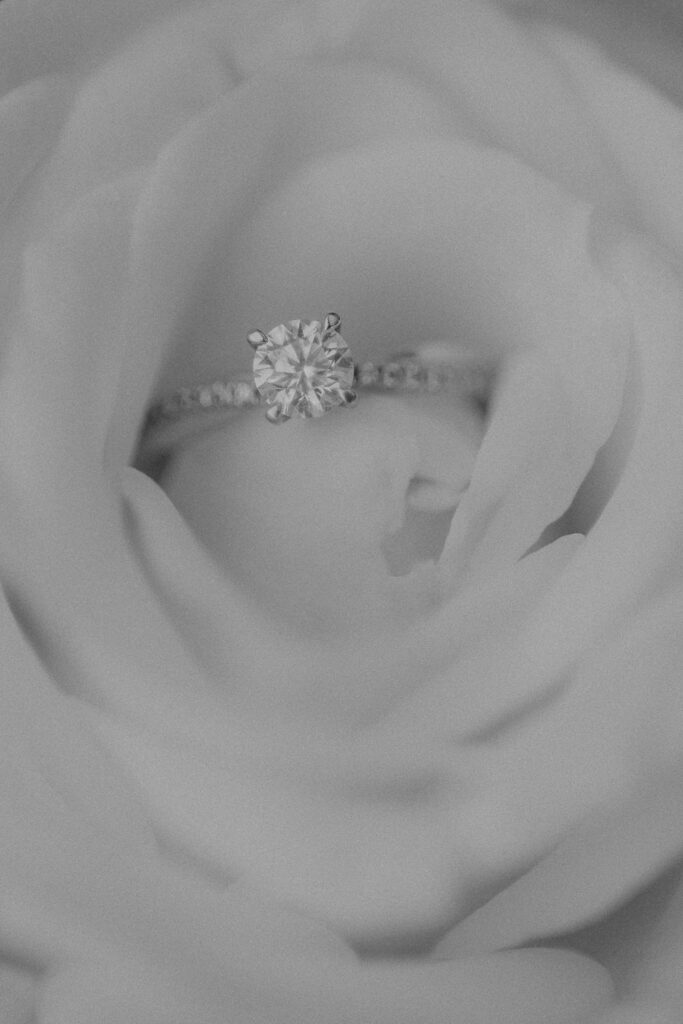 Schloss Brandis Hochzeit Schlosshochzeit Märchenhochzeit Hochzeitsfotos Hochzeitsreportage Hochzeitsfotograf Hochzeitsfotografin Heiraten Leipzig Sachsen Dresden Gohliser Schlösschen Standesamt Standesamtliche Trauung Neues Rathaus Hochzeitsauto Happy Day Brautmode EmiLy Hochzeitsdeko Cadillac