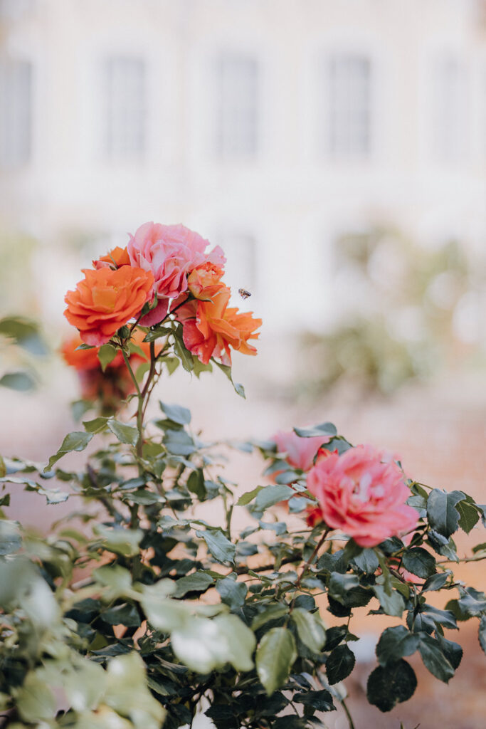 Schloss Brandis Hochzeit Schlosshochzeit Märchenhochzeit Hochzeitsfotos Hochzeitsreportage Hochzeitsfotograf Hochzeitsfotografin Heiraten Leipzig Sachsen Dresden Gohliser Schlösschen Standesamt Standesamtliche Trauung Neues Rathaus Hochzeitsauto Happy Day Brautmode EmiLy Hochzeitsdeko Cadillac