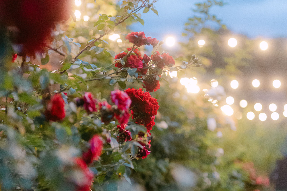 Sophia Molek Hochzeitsfotografin Hochzeiten Hochzeit Hochzeitsfotos Sachsen