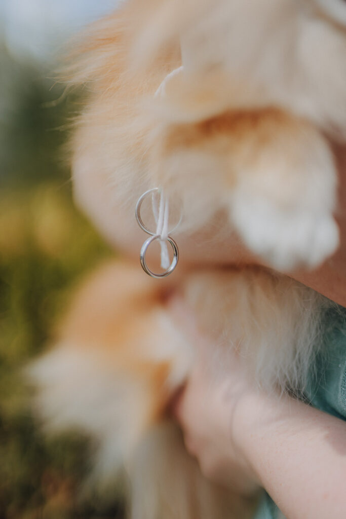 Hochzeit AmSee Am See Kulkwitzer See Leipzig Hochzeitsfotos Hochzeitsreportage Freie Trauung am Strand Strandhochzeit Beach Wedding Hochzeitsfotografin