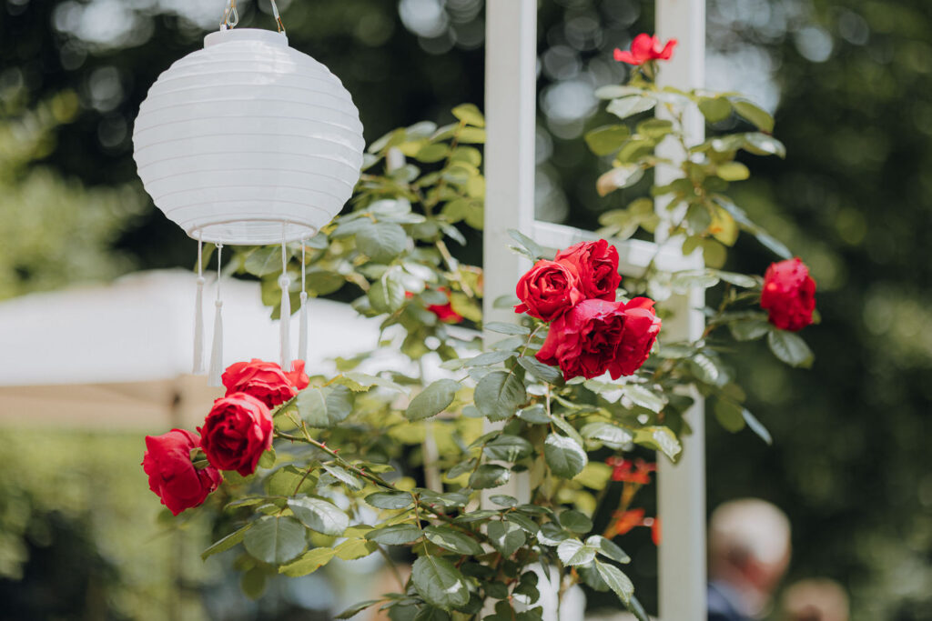 Hochzeit Dresden Heiraten Marcolinis Welt Hochzeitsfotograf Fotografin Sachsen Elbe Eventlocation
