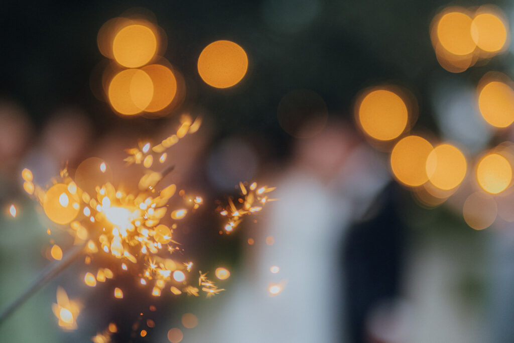 Schloss Hohenprießnitz Hochzeit Heiraten Hochzeitsfotos Fotograf Hochzeitsfotografin Sachsen Sachsen-Anhalt Leipzig DC Catering2