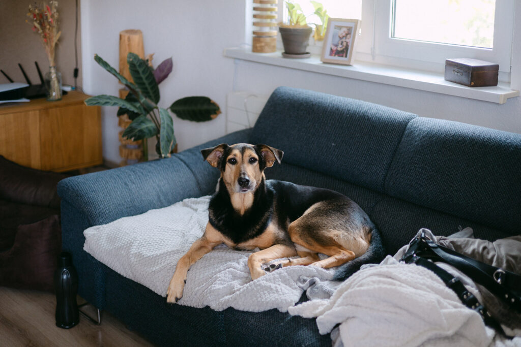 Bad Lauchstädt Standesamt Hochzeit Heiraten Sachsen-Anhalt Halle Merseburg Hochzeitsfotograf Hochzeitsfotos