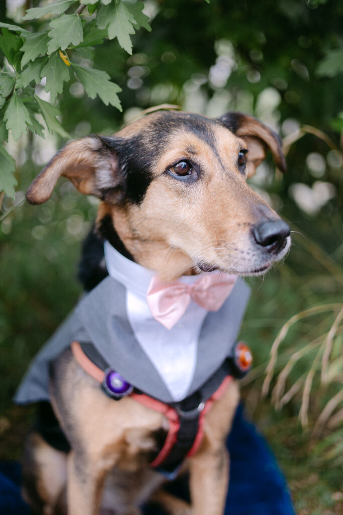Bad Lauchstädt Standesamt Hochzeit Heiraten Sachsen-Anhalt Halle Merseburg Hochzeitsfotograf Hochzeitsfotos