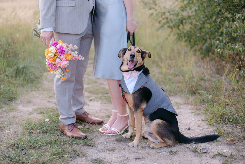 Bad Lauchstädt Standesamt Hochzeit Heiraten Sachsen-Anhalt Halle Merseburg Hochzeitsfotograf Hochzeitsfotos
