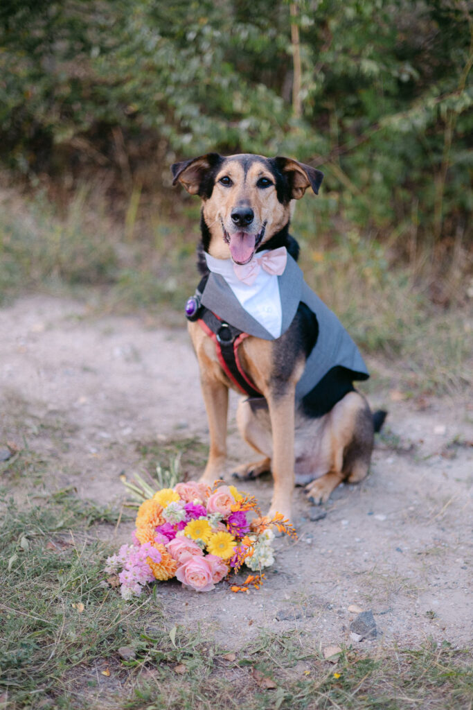 Bad Lauchstädt Standesamt Hochzeit Heiraten Sachsen-Anhalt Halle Merseburg Hochzeitsfotograf Hochzeitsfotos