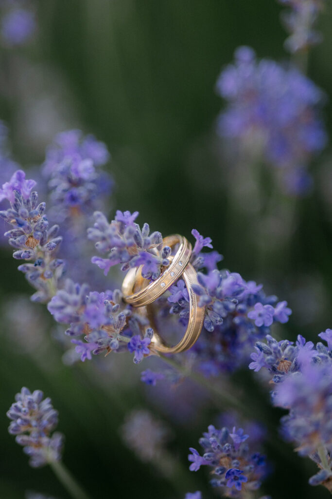 Festival Hochzeit Magdalenengut Erfurt Hochzeitsfotograf Fotograf Wedding Thüringen Fotoreportage Hochzeitsreportage