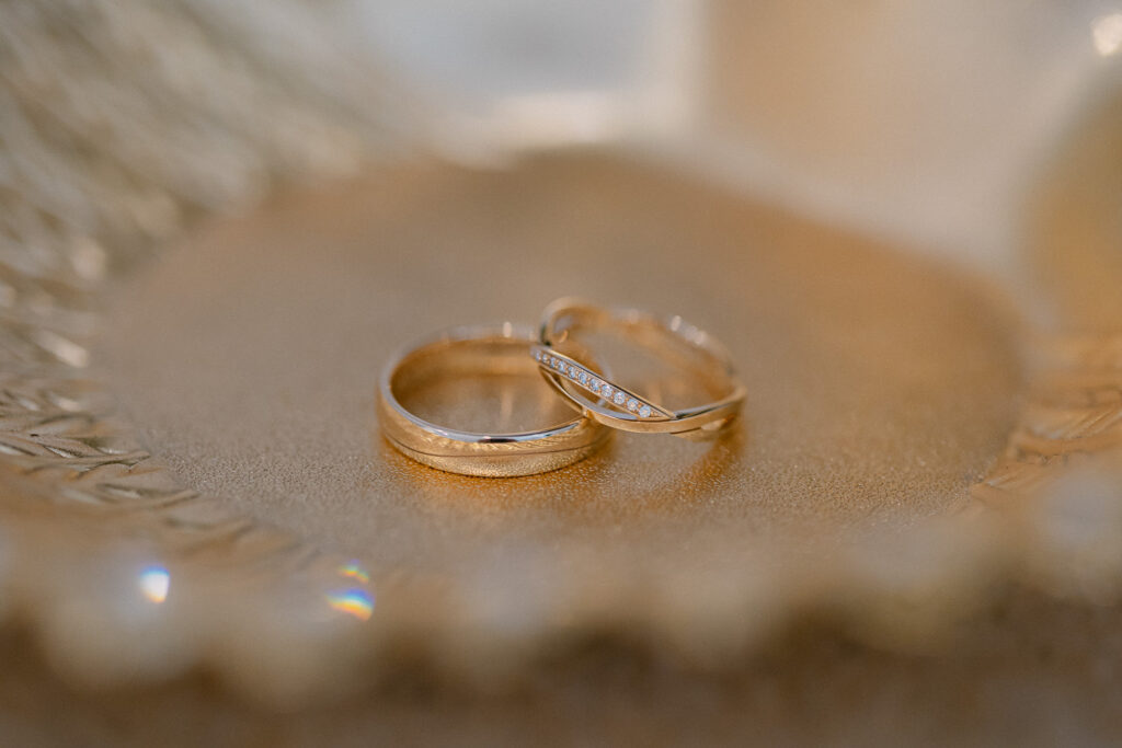 Hochzeit Schloss Breitenfeld Leipzig Heiraten Hochzeitsfotos Fotograf Hochzeitsfotografin freie Trauung Schlossgarten