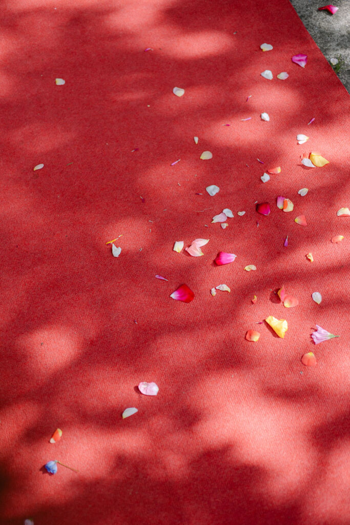 Hochzeit Schloss Breitenfeld Leipzig Heiraten Hochzeitsfotos Fotograf Hochzeitsfotografin freie Trauung Schlossgarten