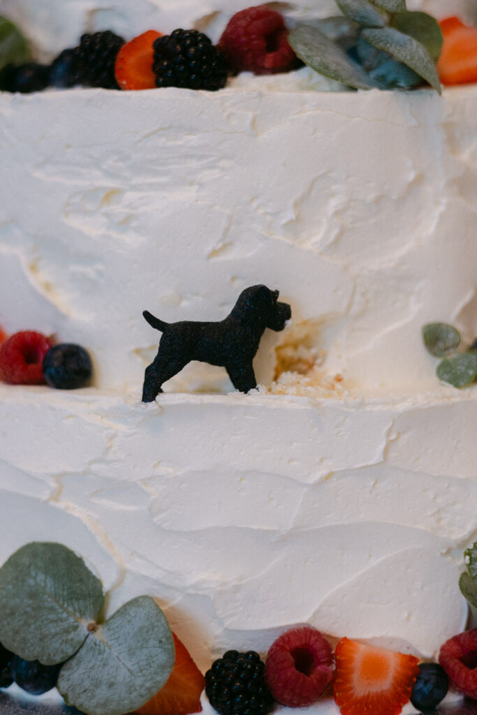 Hochzeit Schloss Breitenfeld Leipzig Heiraten Hochzeitsfotos Fotograf Hochzeitsfotografin freie Trauung Schlossgarten