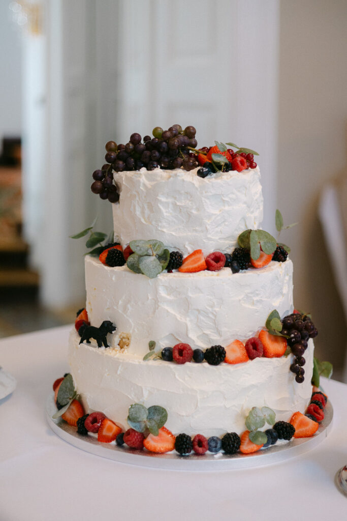 Hochzeit Schloss Breitenfeld Leipzig Heiraten Hochzeitsfotos Fotograf Hochzeitsfotografin freie Trauung Schlossgarten